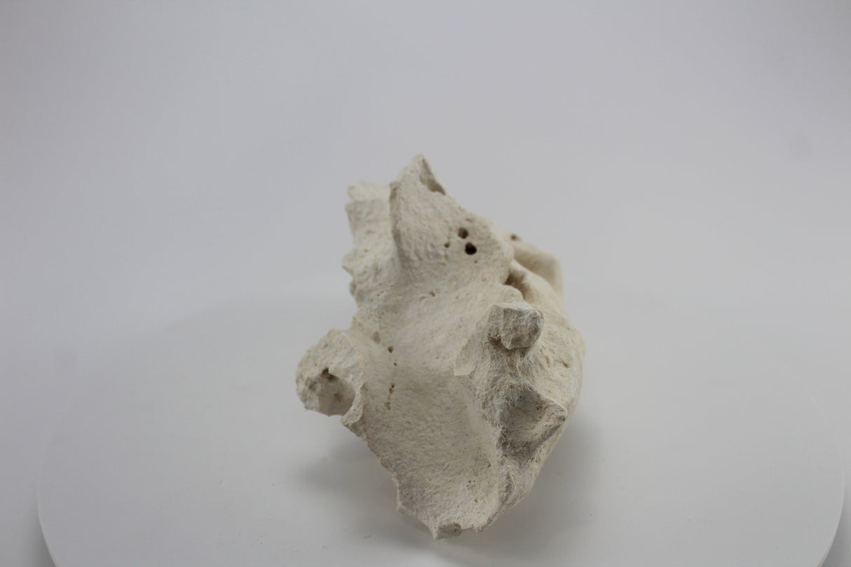 Hole Rock para acuario