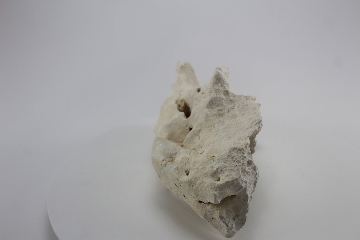 Hole Rock para acuario