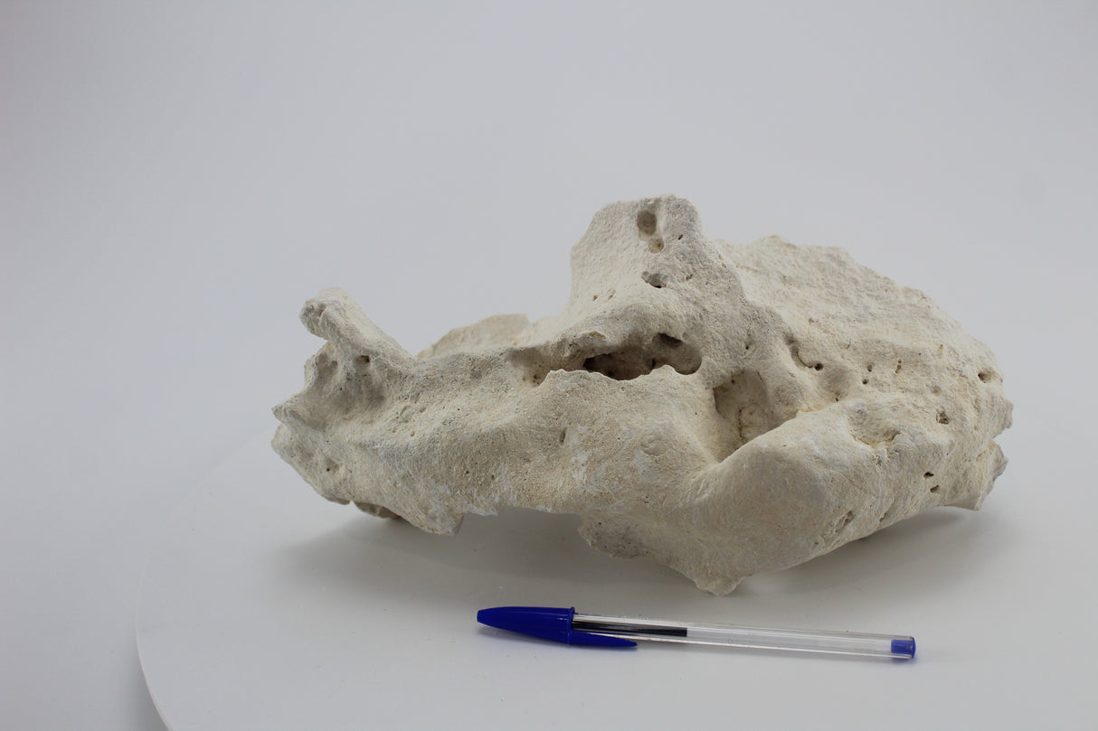 Hole Rock para acuario