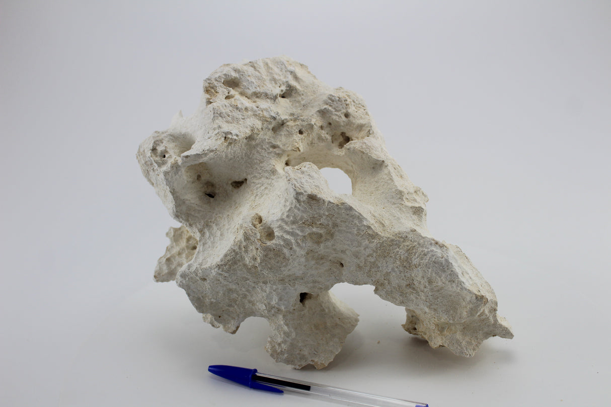 Hole Rock para acuario