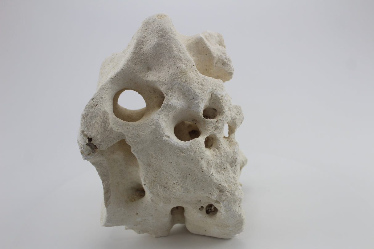 Hole Rock para acuario