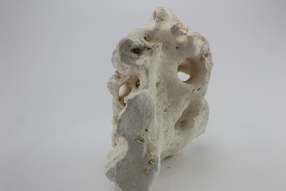 Hole Rock para acuario