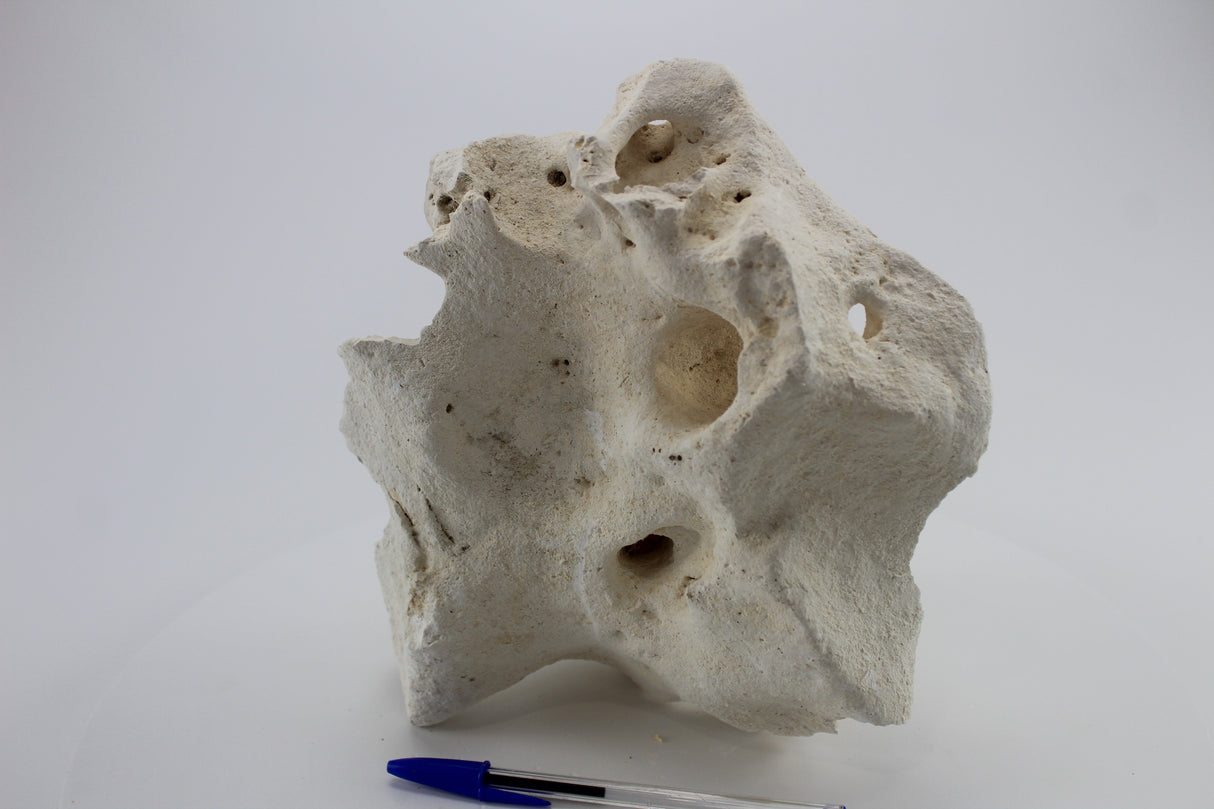 Hole Rock para acuario