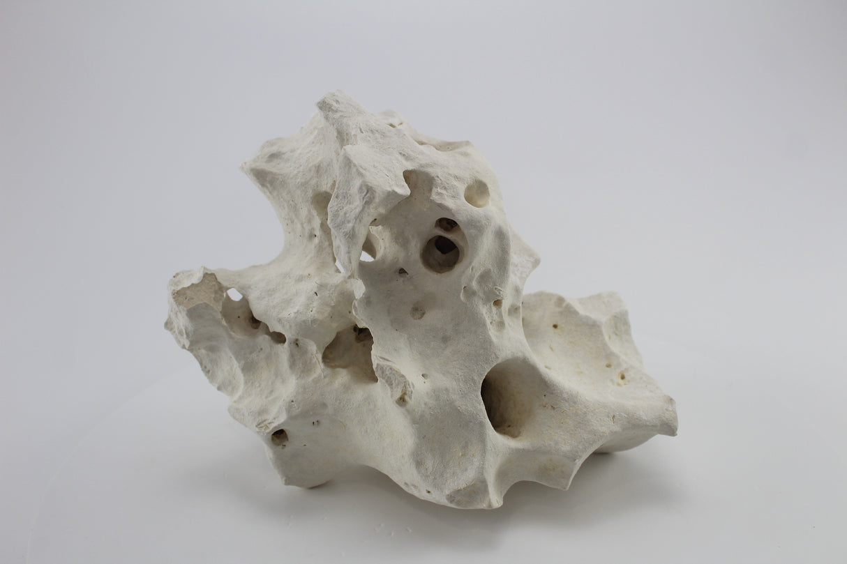 Hole Rock para acuario