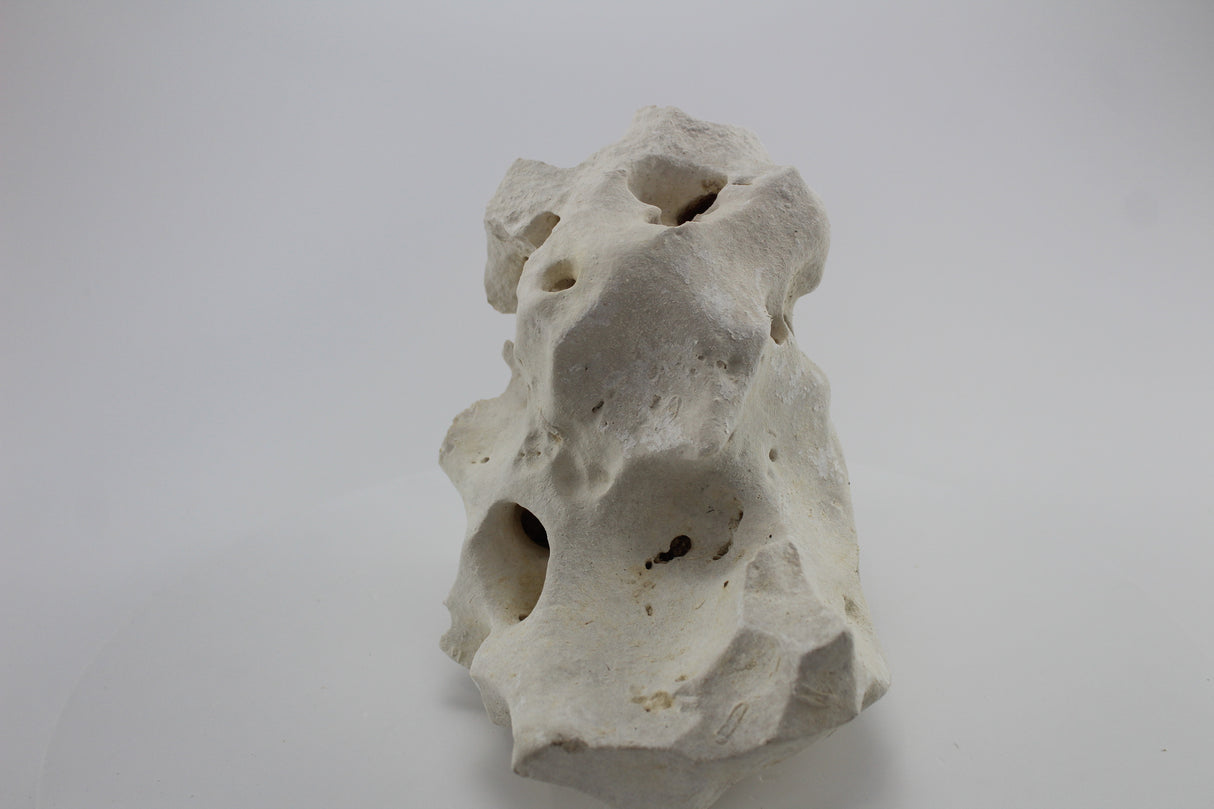 Hole Rock para acuario