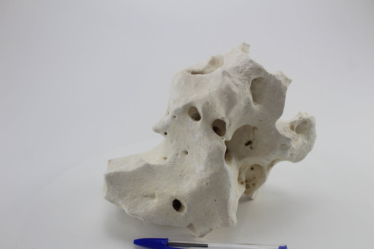 Hole Rock para acuario