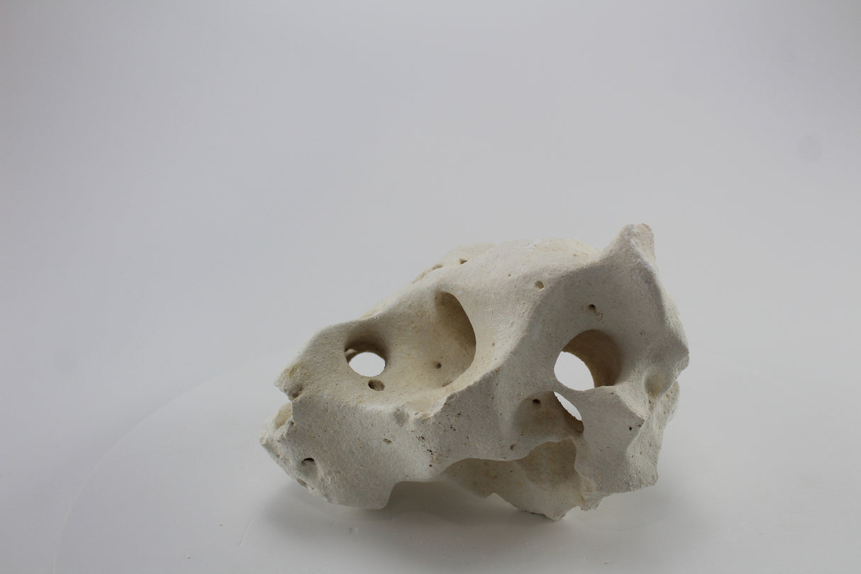 Hole Rock para acuario