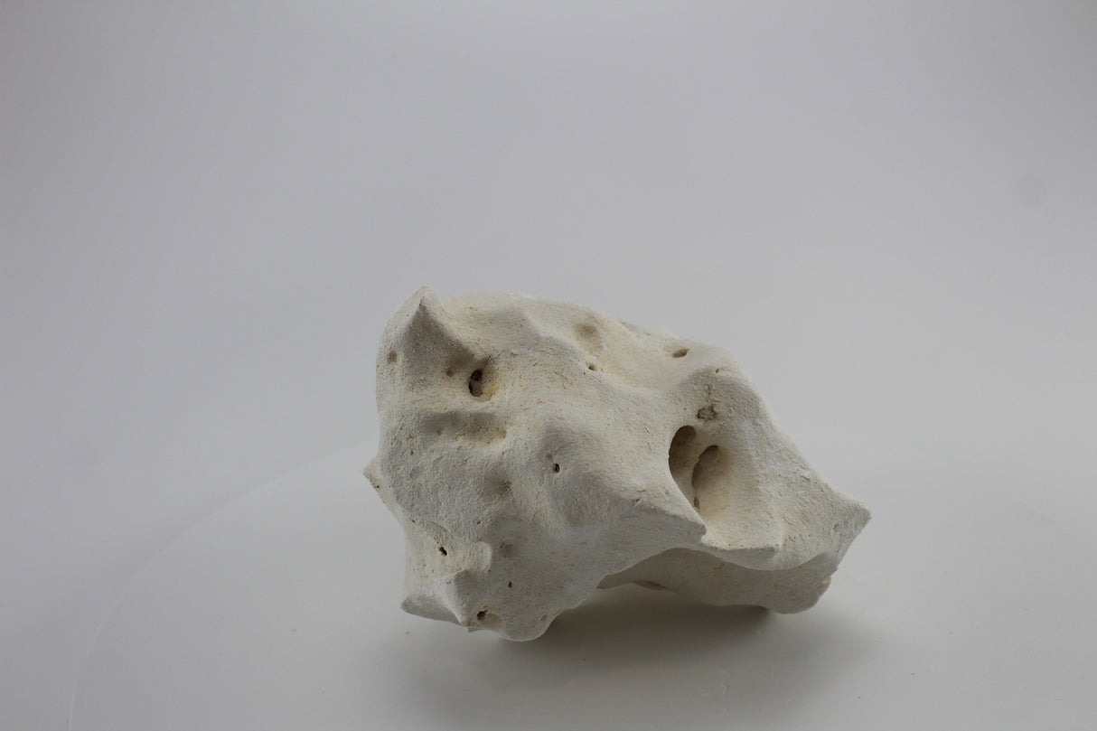 Hole Rock para acuario