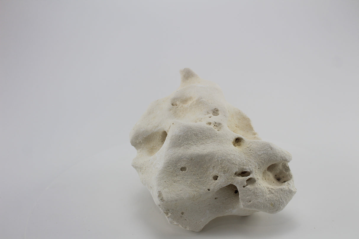 Hole Rock para acuario