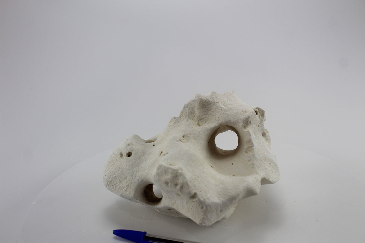 Hole Rock para acuario