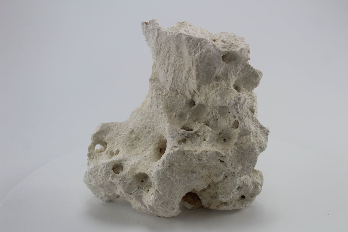 Hole Rock para acuario