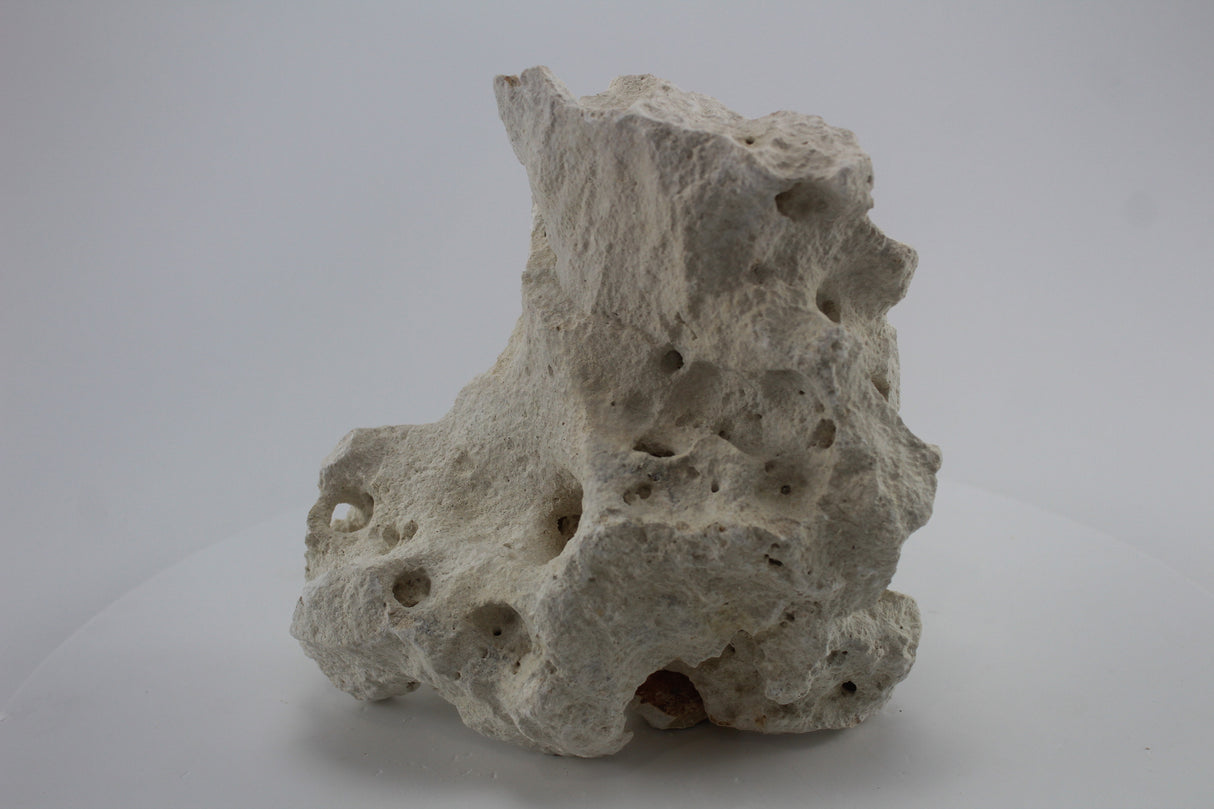 Hole Rock para acuario