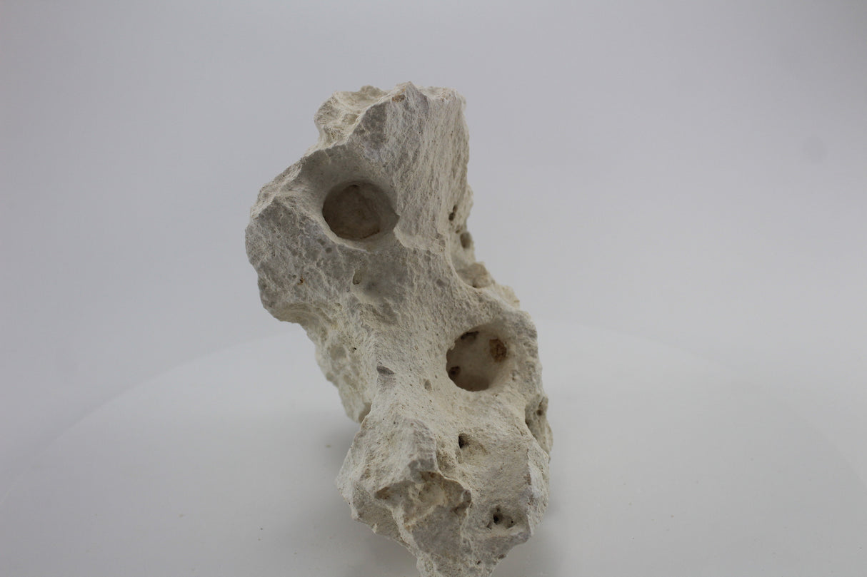 Hole Rock para acuario