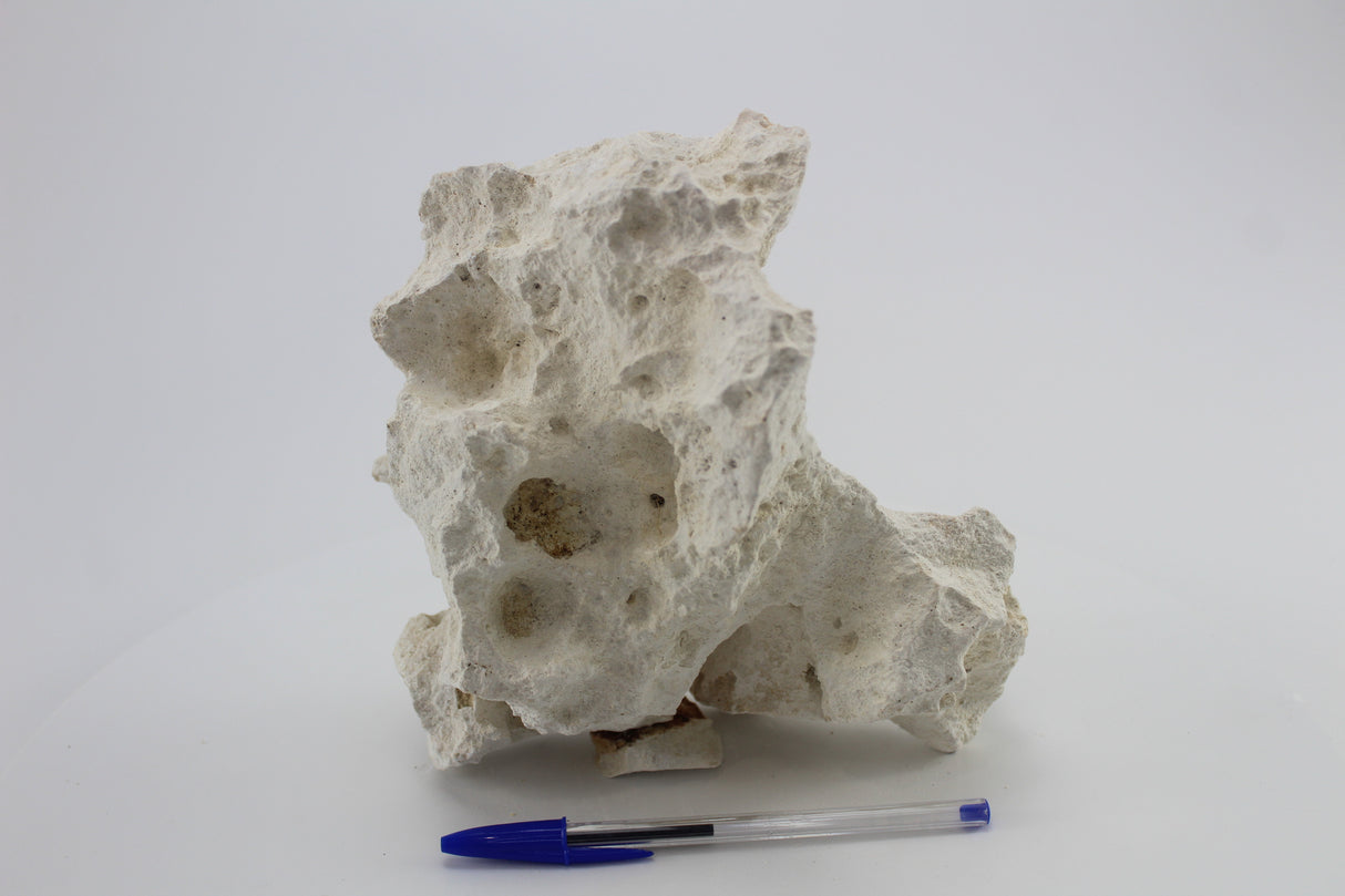 Hole Rock para acuario