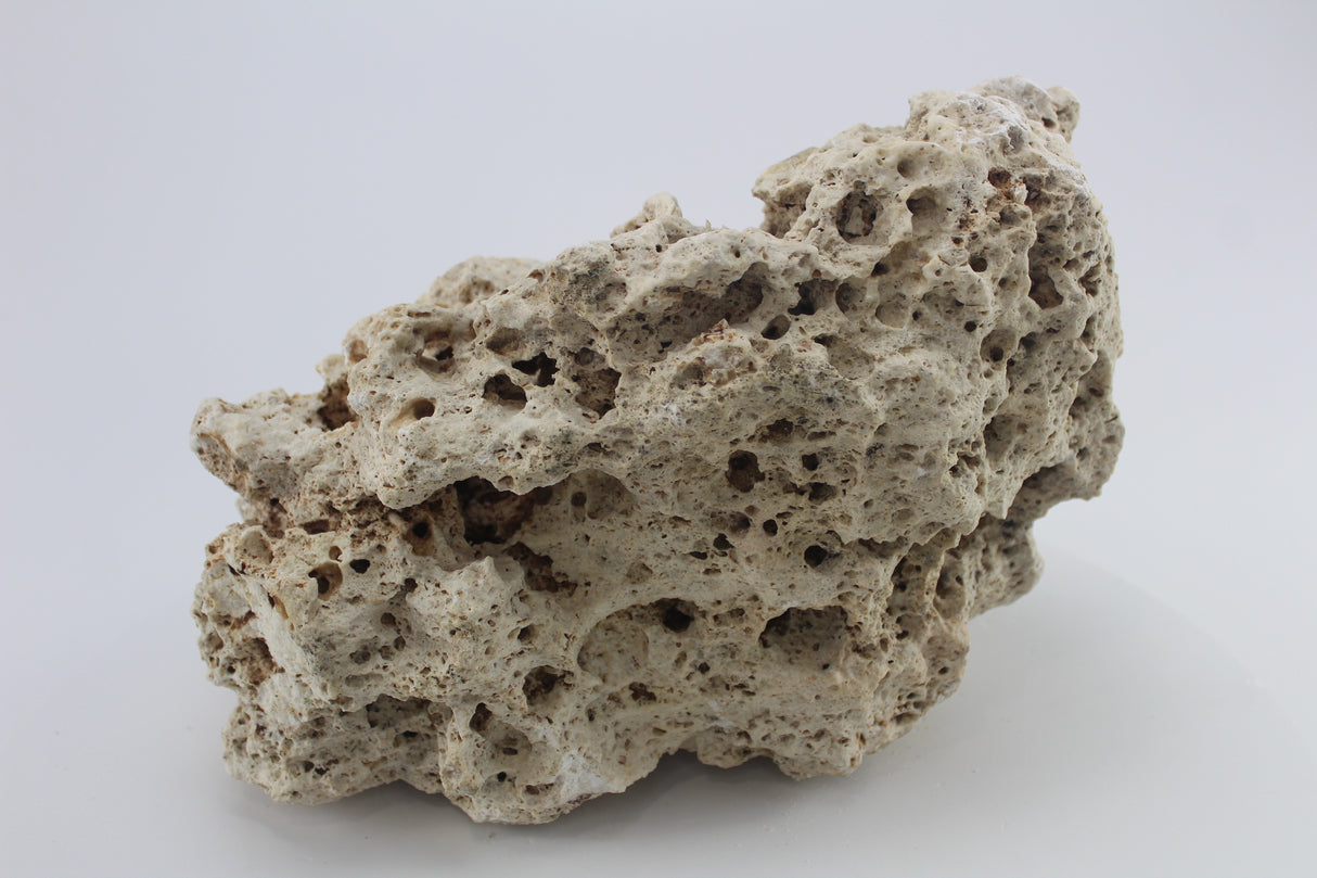 Hole Rock para acuario