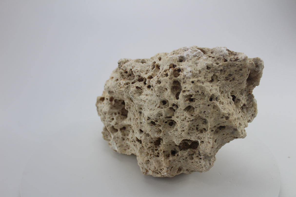 Hole Rock para acuario