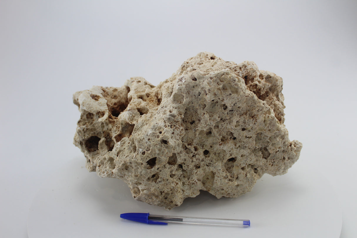 Hole Rock para acuario