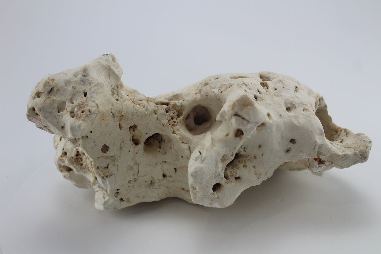 Hole Rock para acuario