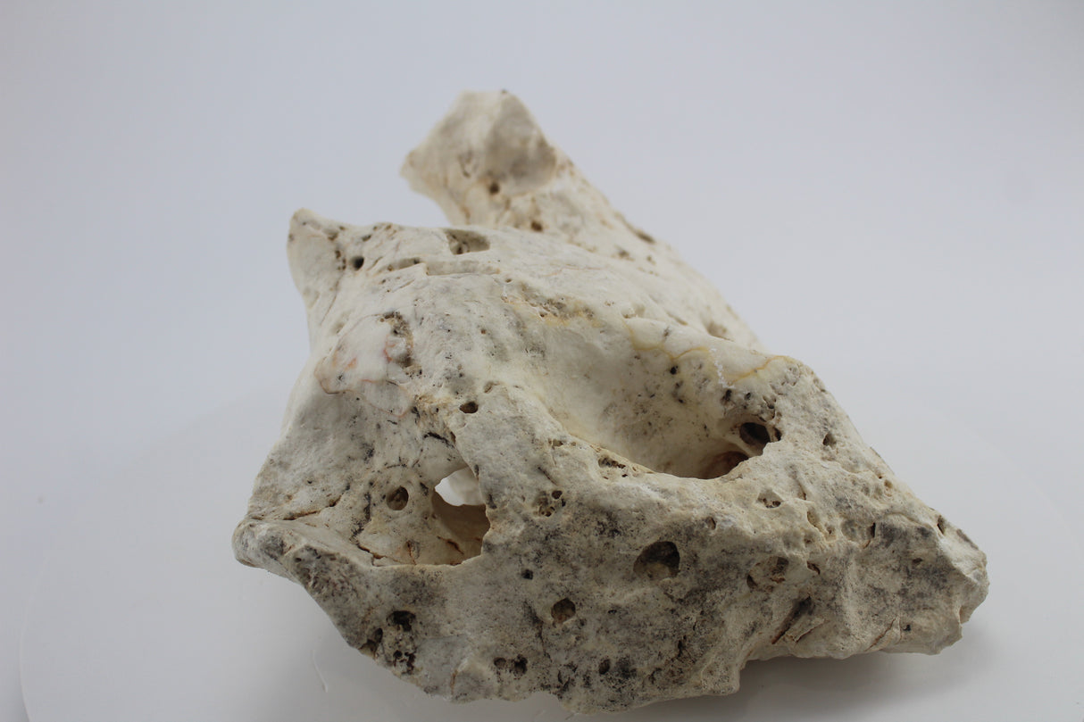 Hole Rock para acuario