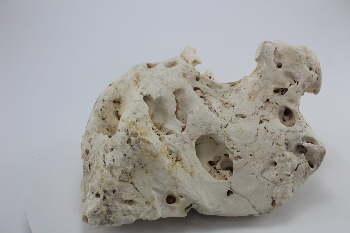 Hole Rock para acuario