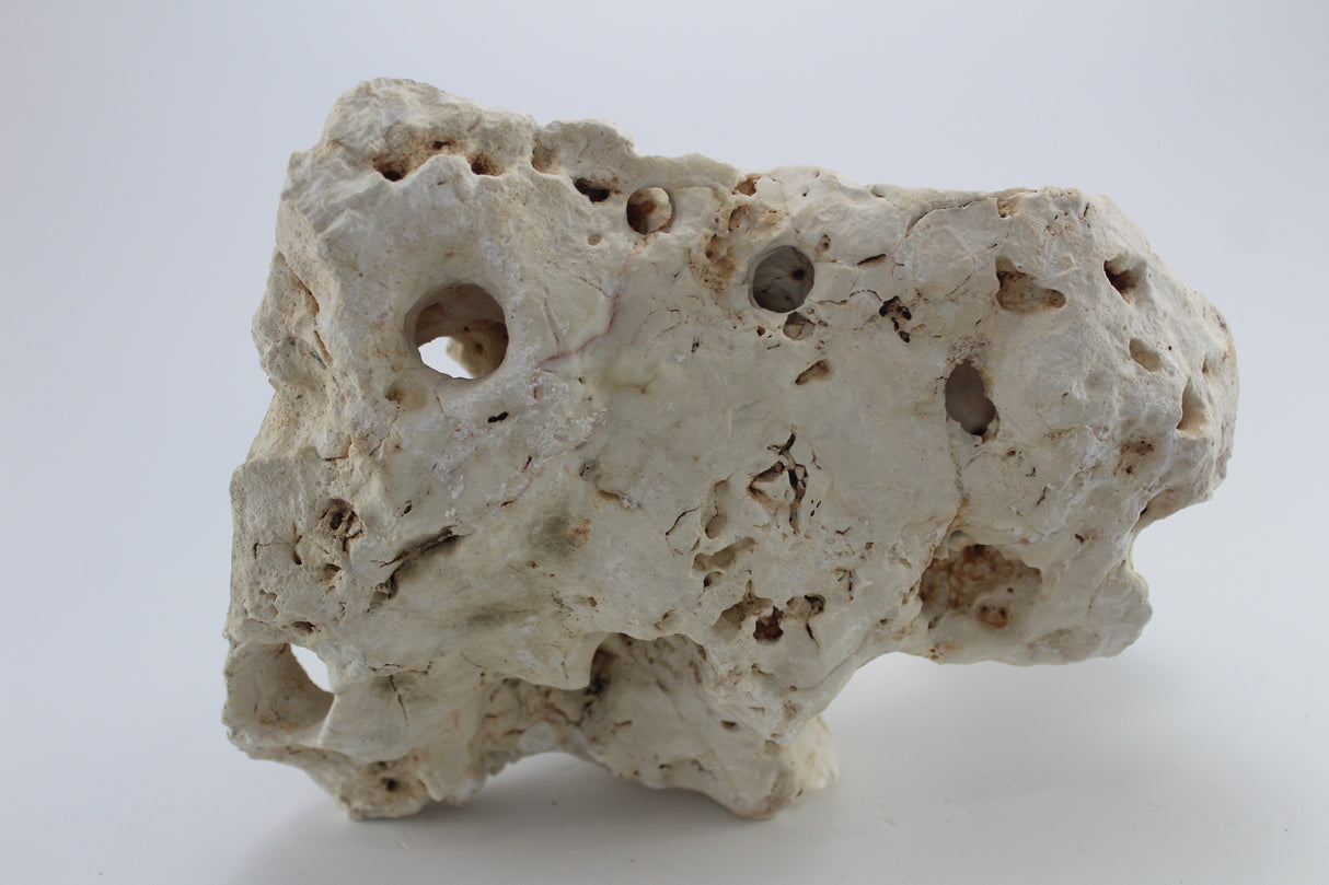 Hole Rock para acuario