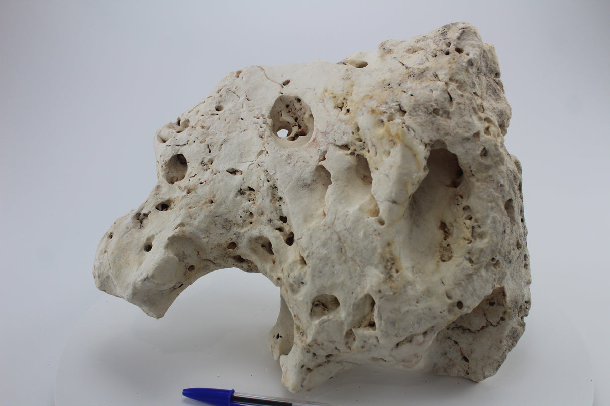 Hole Rock para acuario