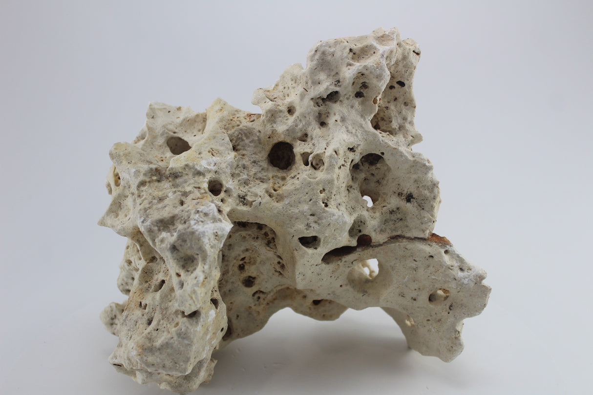 Hole Rock para acuario