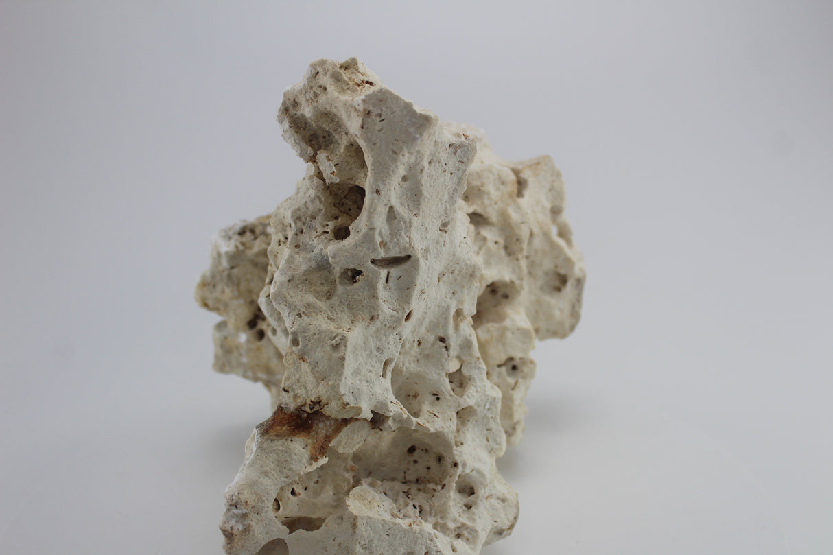 Hole Rock para acuario