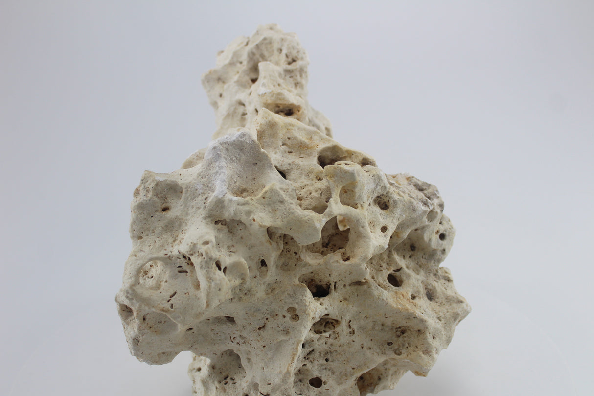 Hole Rock para acuario