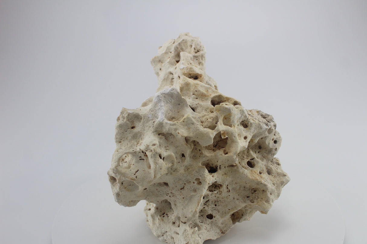 Hole Rock para acuario