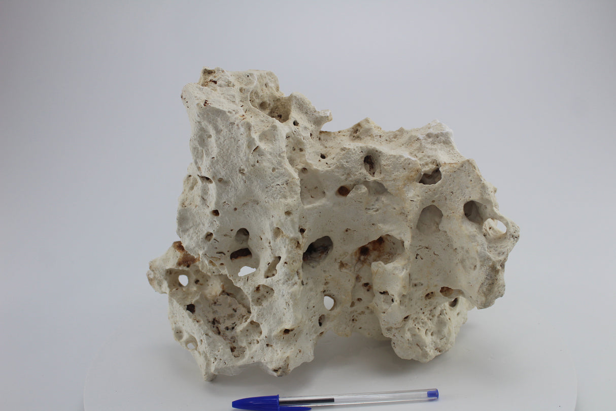 Hole Rock para acuario