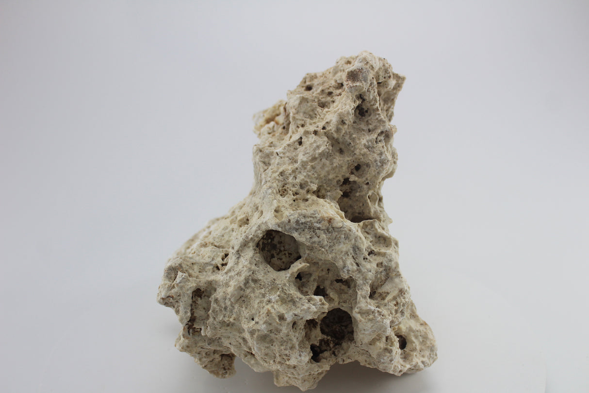 Hole Rock para acuario