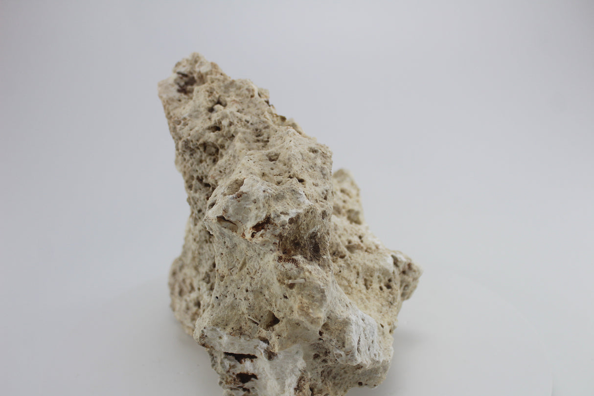 Hole Rock para acuario