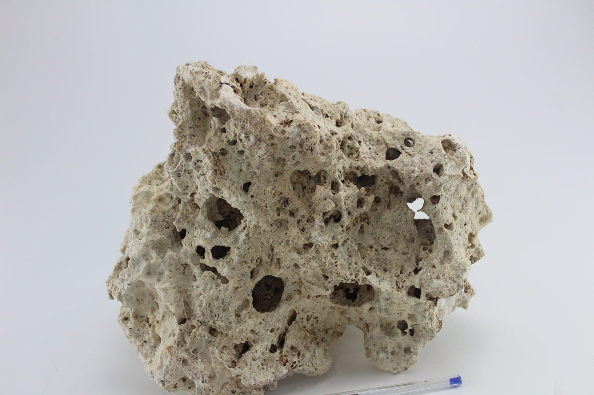 Hole Rock para acuario