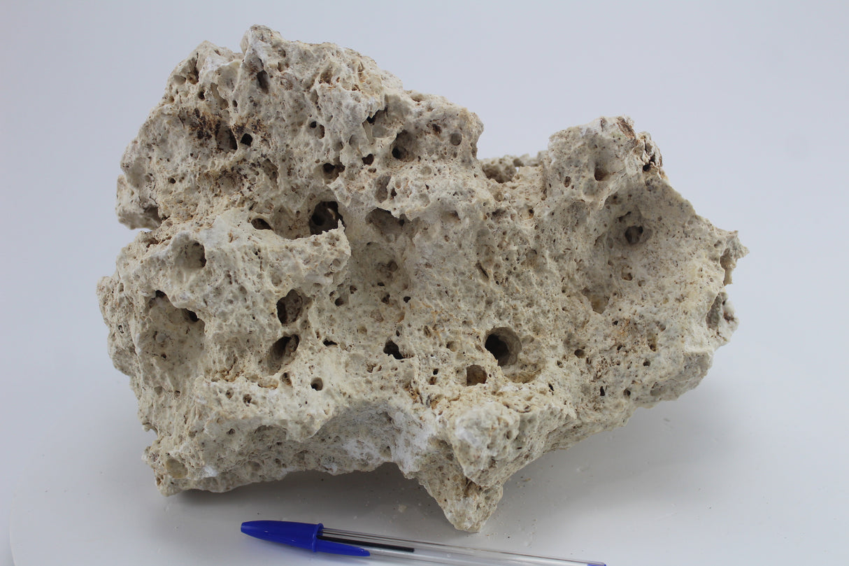 Hole Rock para acuario