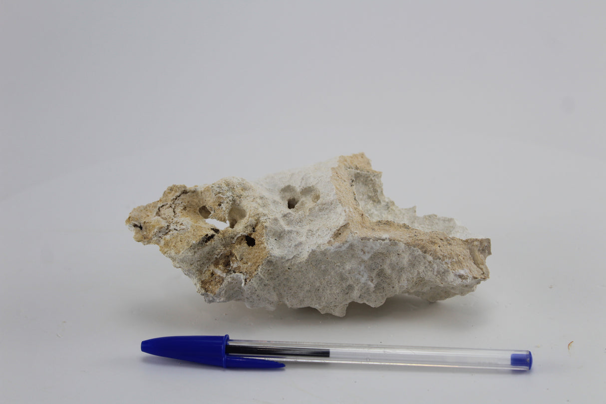 Rock Hole para acuario