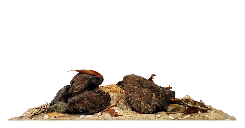 Kit de decoración WIO RIVULET