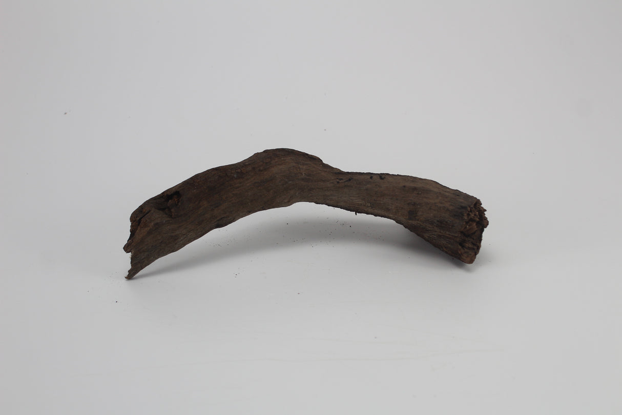 Tronco Sam Wood para acuario