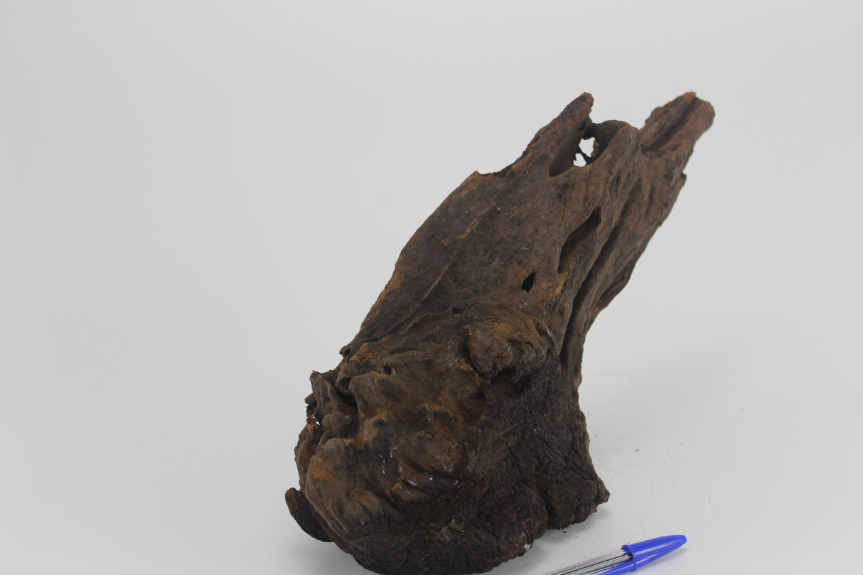 Tronco Sam Wood para acuario