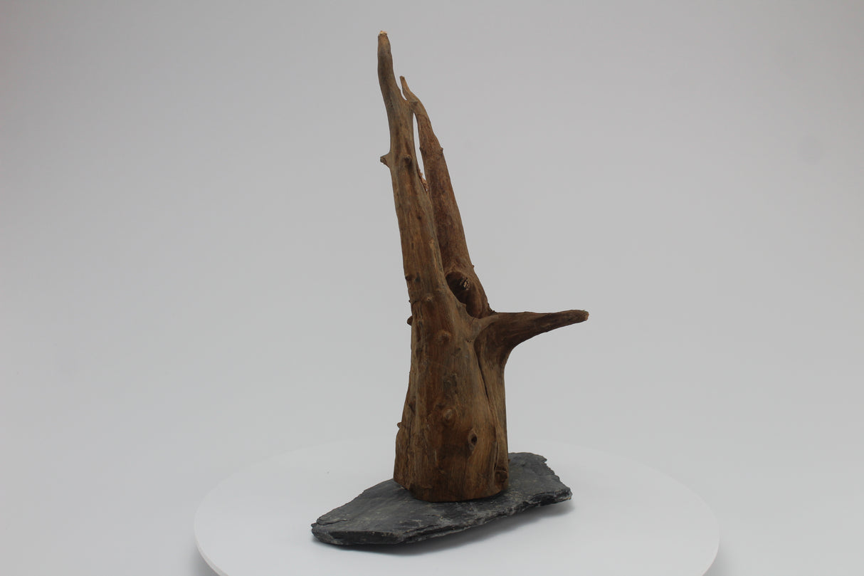 tronco sera scaper wood para acuario