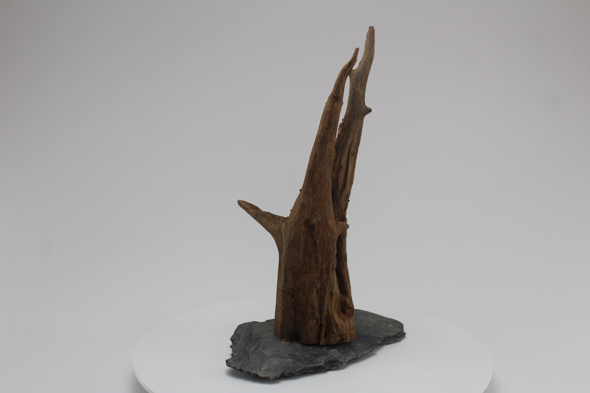 tronco sera scaper wood para acuario