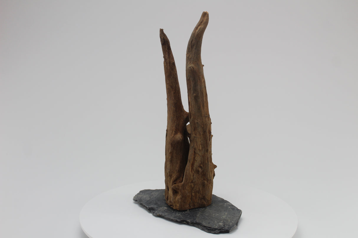 tronco sera scaper wood para acuario