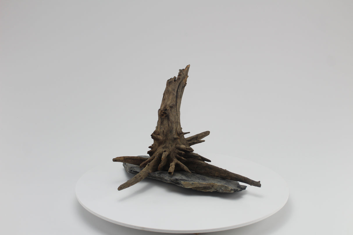 tronco sera scaper wood para acuario