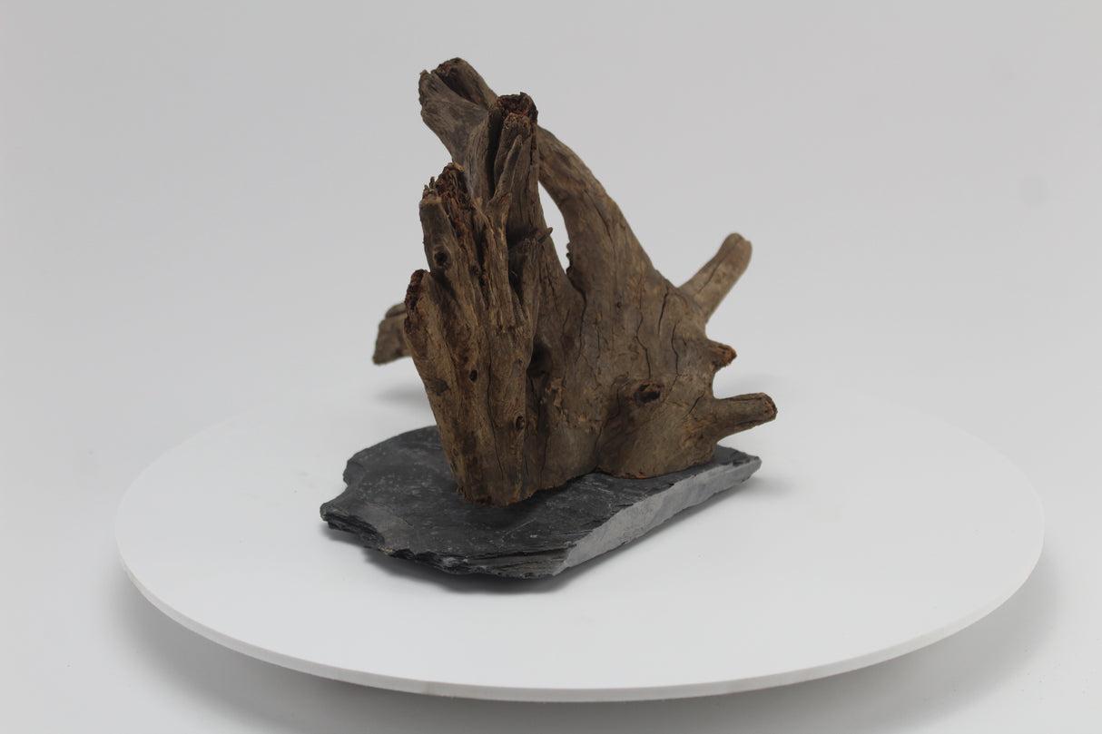 tronco sera scaper wood para acuario