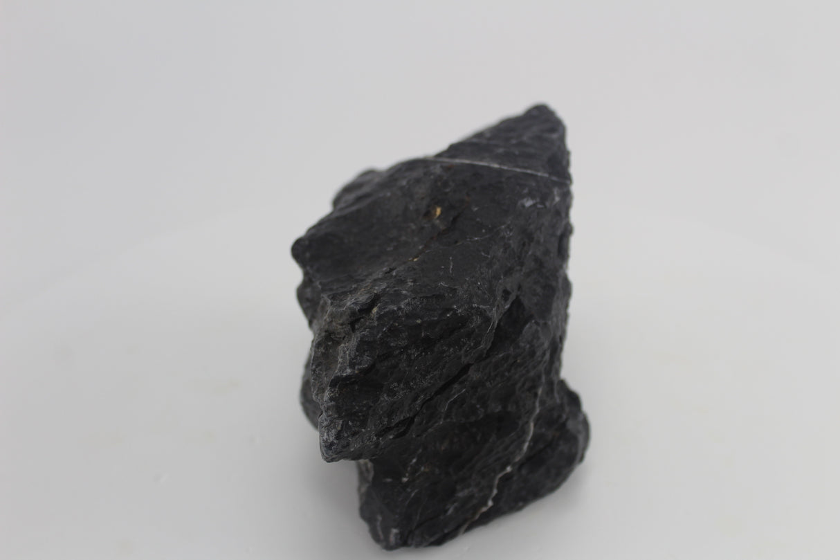 Seiryu Black para acuario