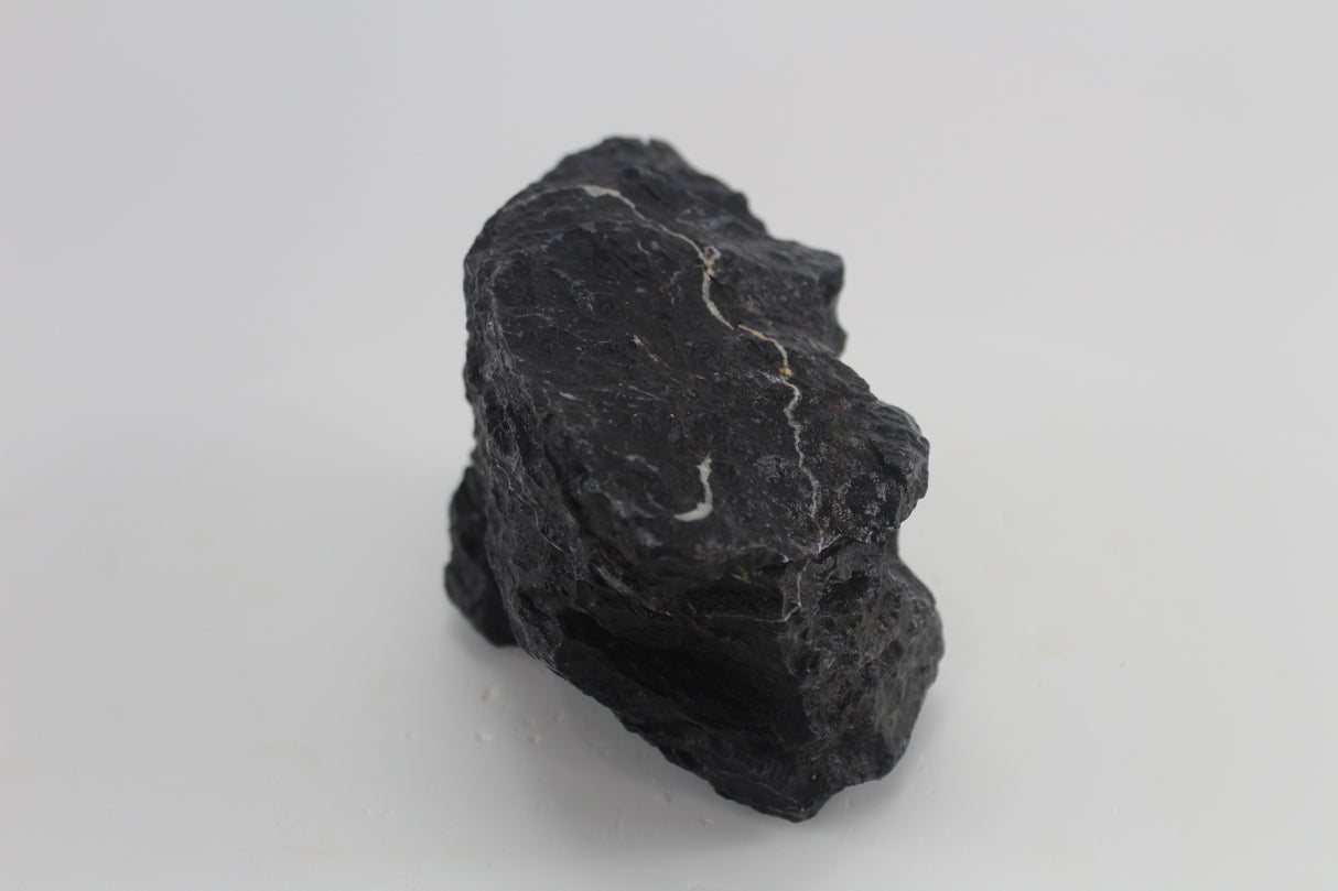 Seiryu Black para acuario