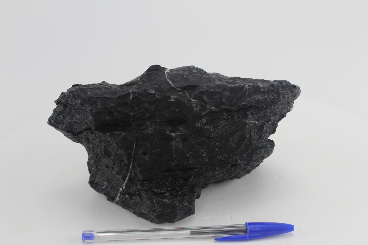 Seiryu Black para acuario