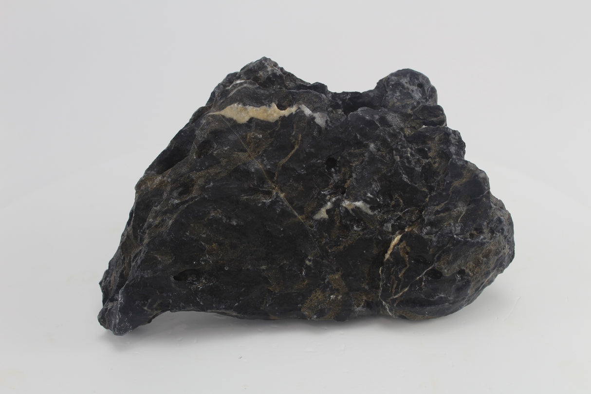 Seiryu Black para acuario