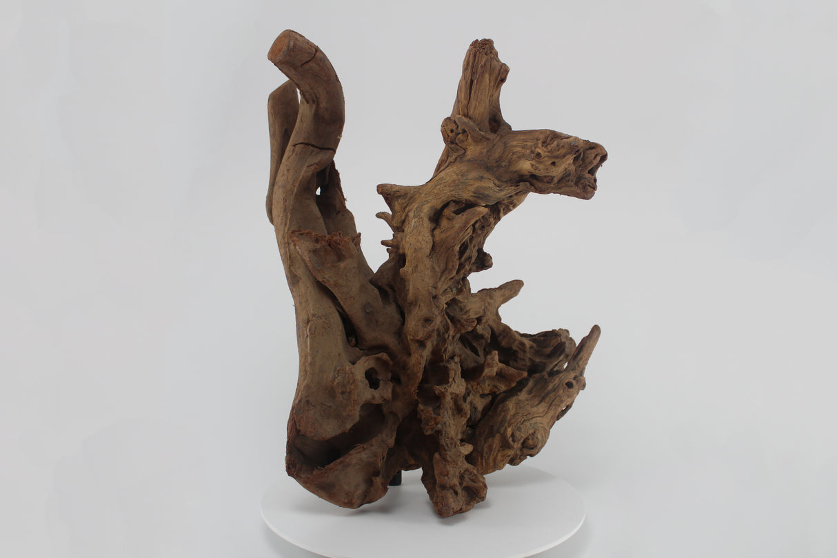 Tronco SHENMU para acuario