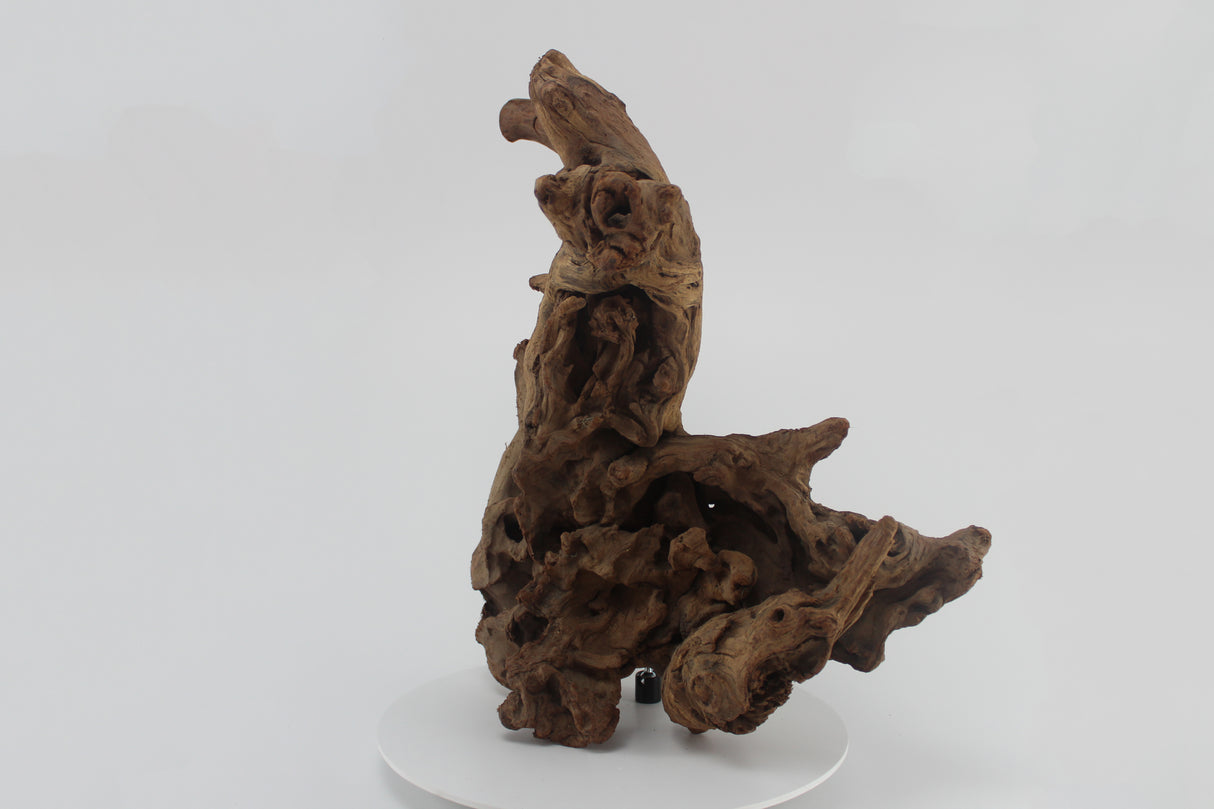 Tronco SHENMU para acuario